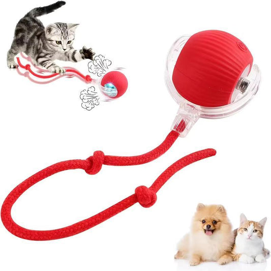 AlloVibrating™ Bouncing Ball – Interactive Toy for Cats & Dogs